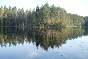deaf forest lake