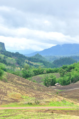 Landscape of agricultural field with mountain, Agriculture scene, Forest destruction, Thailand