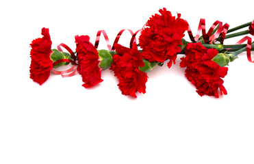 Bouquet of red carnations wiht ribbon (Dianthus caryophyllus) on white background with space for text