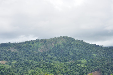 Fototapeta na wymiar Landscape of mountain and forest, Thailand