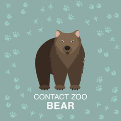Brown bear illustration for contact zoo concept.