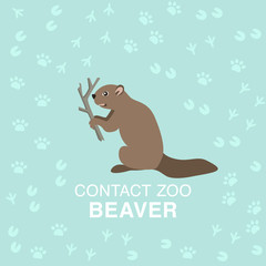 Beaver flat illustration for contact zoo concept.