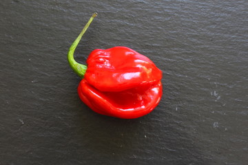 Red Habanero chili pepper on slate plate