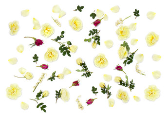 White and red roses (Burnet double white, shrub rose) and lily of the valley on a white background. Flat lay