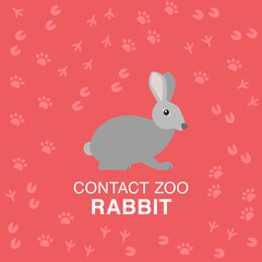 Gray rebbit flat illustration for contact zoo concept.