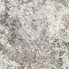 seamless lichen background