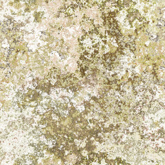 seamless lichen background