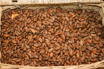 Cocoa beans in a basket 