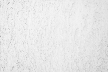 Beautiful bright wall background. Copy space.