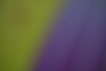 Abstract fuzzy background. Purple and green colors.