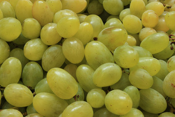 Ripe grapes background