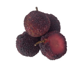Chinese Bayberry