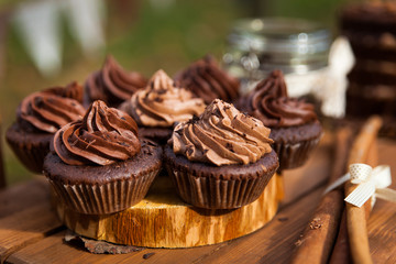 Chocolate cupcakes