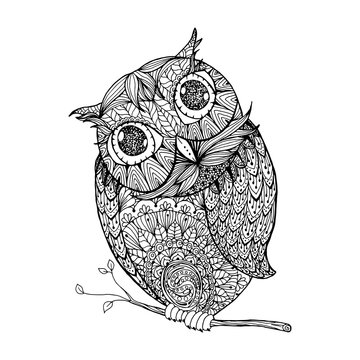 Zentangle style owl. Isolated illustration with ornanets fill for adult coloring book page design