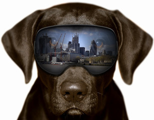Czarny pies w Londynie, fotomontaż
 - obrazy, fototapety, plakaty