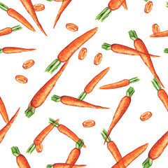 Hand drawn seamless repeated pattern with watercolor ripe orange carrots on the white background
