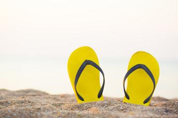 Fototapeta premium flip-flop on the beach