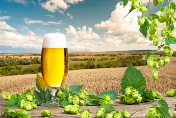 verre à bière et champ de blé avant la récolte