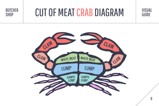Cut of meat set. Poster Butcher diagram and scheme - Crab. Colorful vintage typographic hand-drawn visual guide for butcher shop. Vector illustration