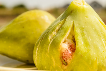 Mature fruit of the fig tree