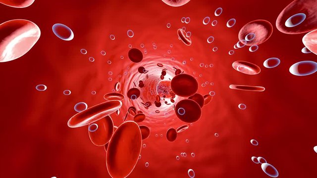 Animation of Oxygen floating in the blood stream with Erythrocytes.	
