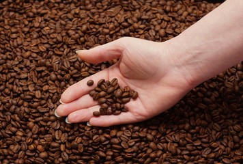 Woman hands and fresh coffee beans