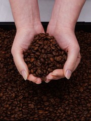 Woman hands and fresh coffee beans