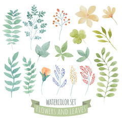 Watercolor set with wild flowers and plants.
