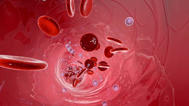 Bloodstream with flowing Erythrocytes and Oxygen.
