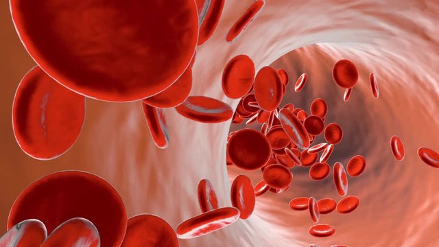 Anemia Cancer Images – Browse 3,378 Stock Photos, Vectors, and Video ...