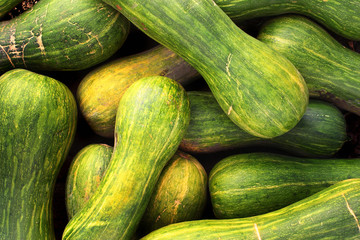 Marrow squashes - green and yellow natural background