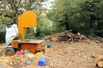 Circular saw for wood logs in the forest