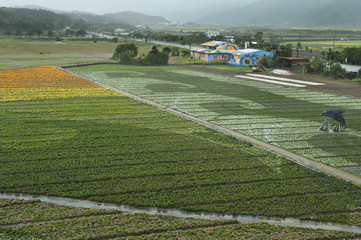 Taiwan Landscape