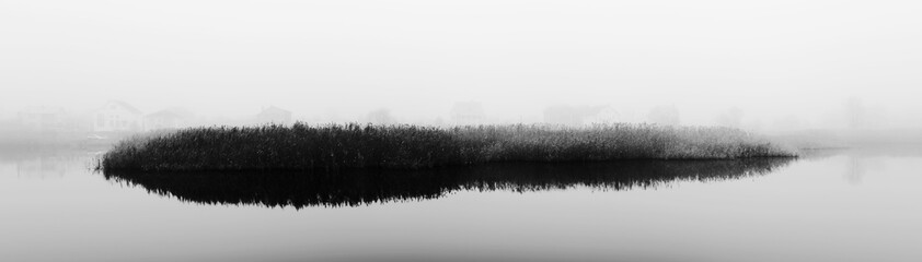 Reeds in fog. Rural landscape with river. Reeds in fog. Autumn. Panorama. Black and white photo