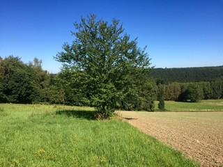 Sommer im Erzgebirge