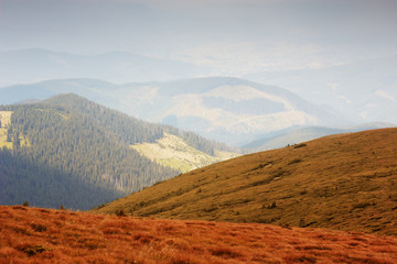 Mountain landscape. Mountain range in haze. Grass and forest on hills. Panorama. Beautiful colors
