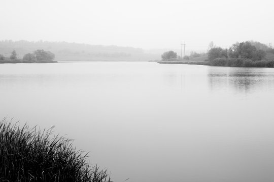 Landscape with river and reeds. Trees on river bank in morning fog. Reflections in water. Cloudy weather, sad mood. Black and white photo