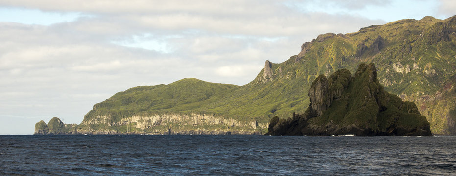Ile Gough, Archipel Tristan da Cunha, Atlantique Sud, quaranti&egrave;mes rugissants, patrimoine mondial UNESCO, territoires britanniques d'outre mer de Sainte H&eacute;l&egrave;ne