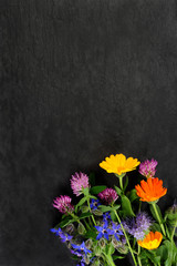 Sommerblumen