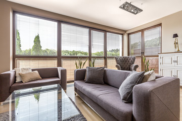 Windows in living room