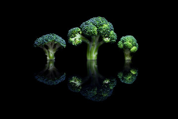 Three broccoli on black reflective background
