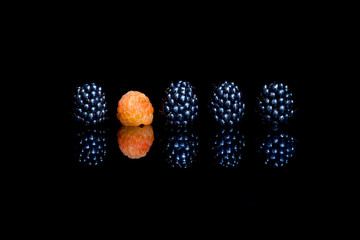 Four blackberry and one yellow raspberry on black reflective background