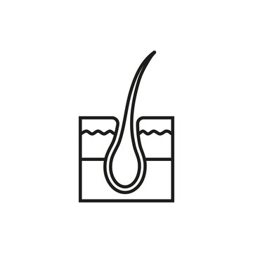 Hair follicle treatment on white background