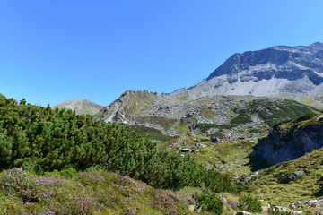 Fototapeta na wymiar Wandern im Tuxertal Tirol