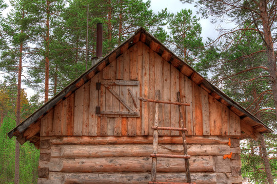 Ladder and a near the wall of a wooden hut with a loft on a background of the forest.