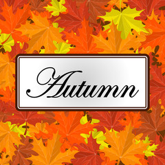 Autumn leaves background. Vector banner