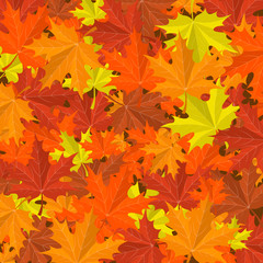 Naklejka na ściany i meble Autumn leaves background. Vector banner