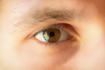 Obraz premium Male eye brown