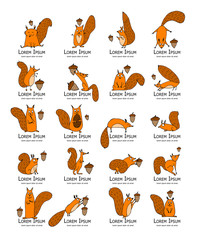 Fototapeta premium Funny squirrel with nut, collection for your design