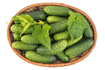 Cucumber on basket isolated on white background.